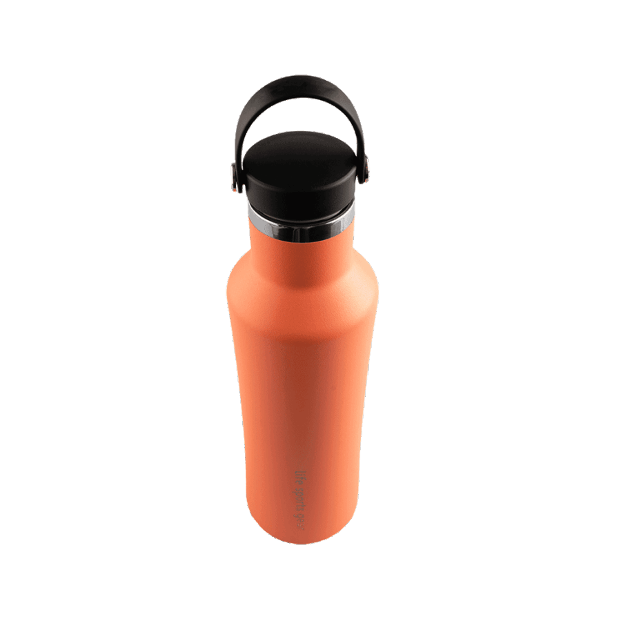 Insulated Stainless Steel Bottle With Carrying Handle - 530ml - Image 11