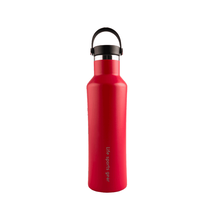 Insulated Stainless Steel Bottle With Carrying Handle - 530ml - Image 16