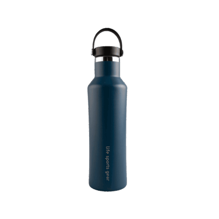Insulated Stainless Steel Bottle With Carrying Handle - 530ml
