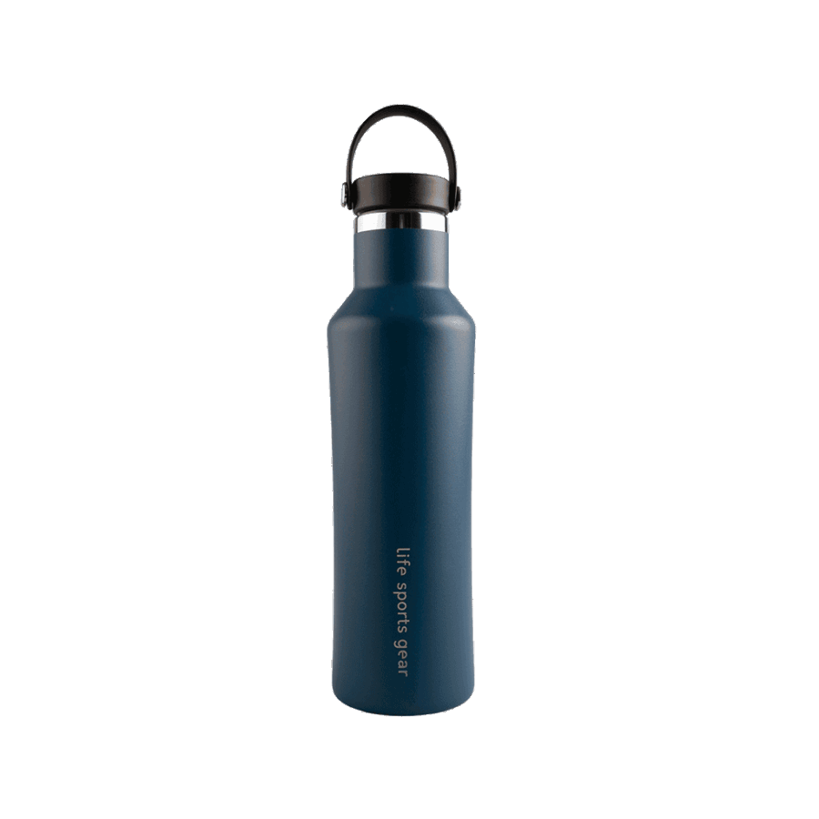 Insulated Stainless Steel Bottle With Carrying Handle - 530ml