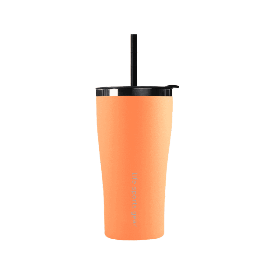 Imerina Stainless Steel Insulated Tumbler with Straw – 530ml - Image 9