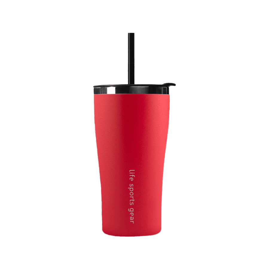 Imerina Stainless Steel Insulated Tumbler with Straw – 530ml - Image 12